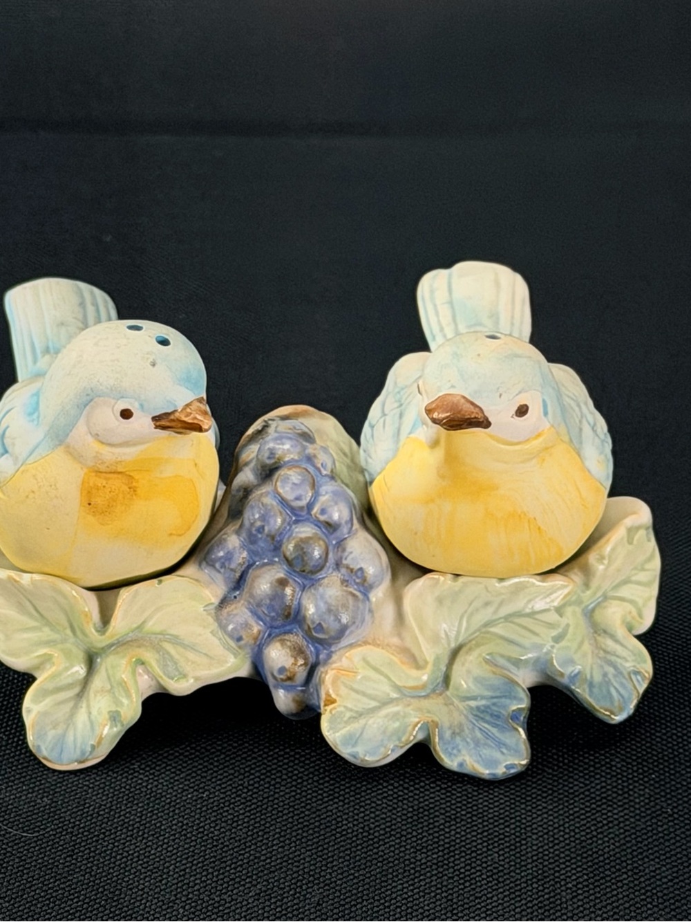 Hand-Painted Blue & Yellow Ceramic Bird Salt and Pepper Set